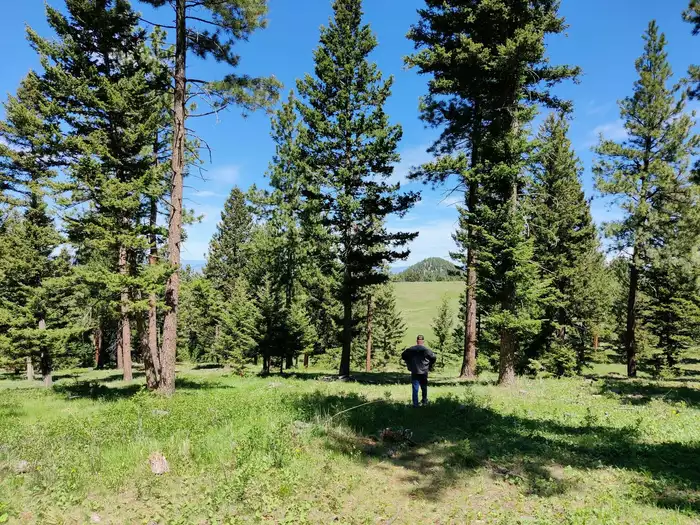 Montana ranch photo