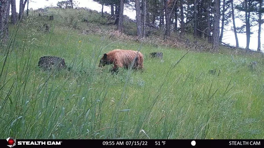 Montana ranch photo