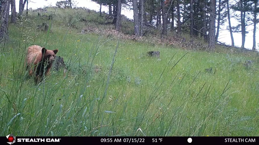 Montana ranch photo