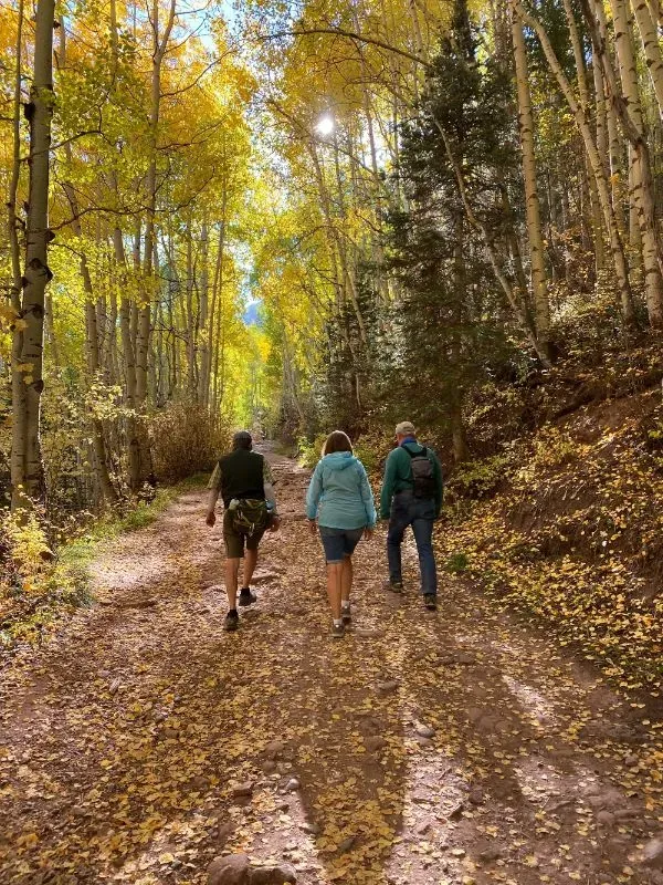 Hikers in Telluride, Colorado with autumn gold aspen trees