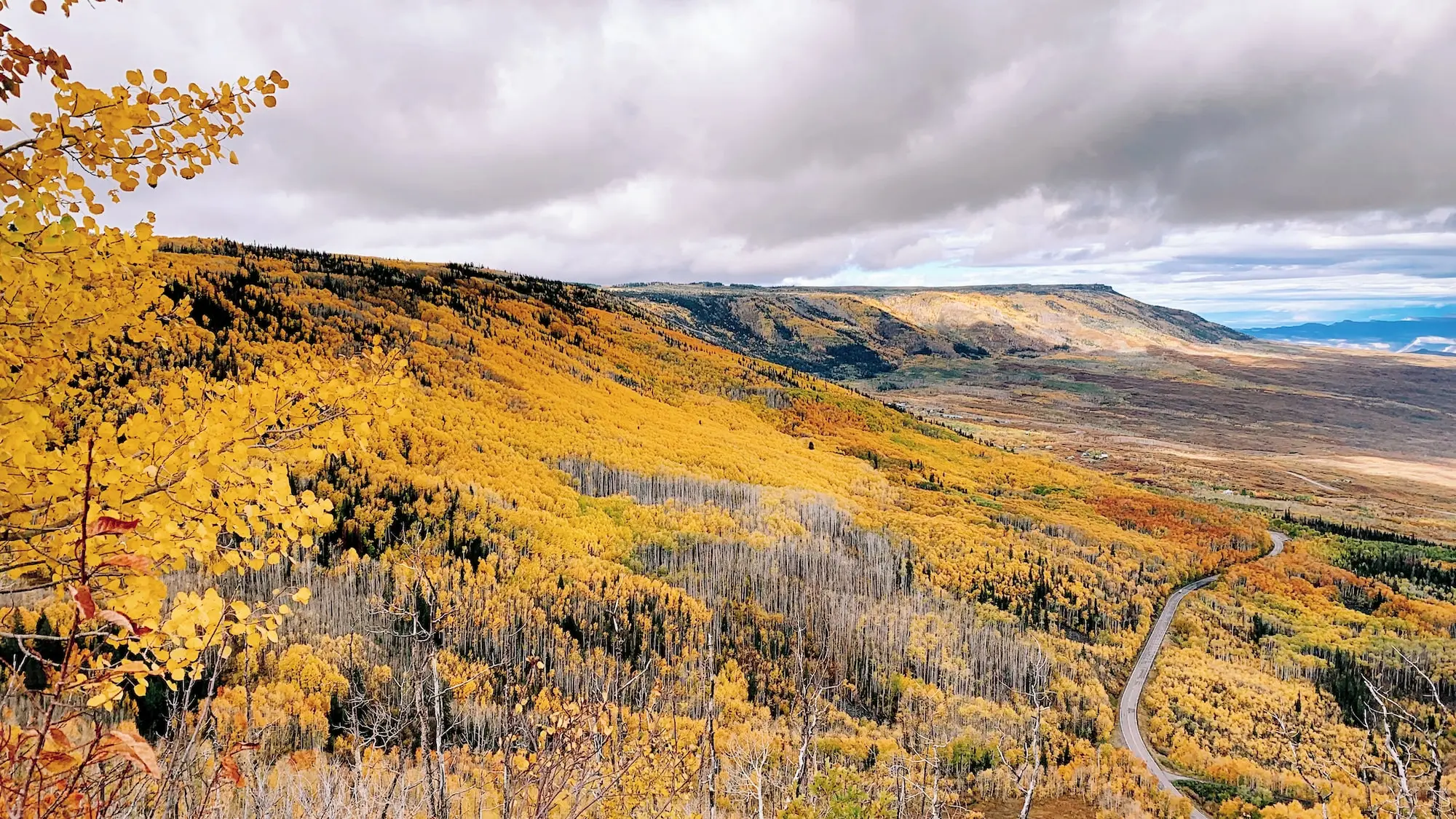 Autumn comes to the Grand Mesa, Colorado.