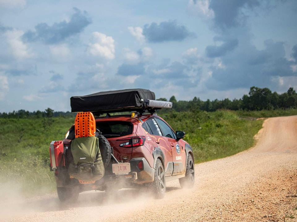 A typical Mississippi TAT road — a two-track through hardwood and pine, just wide enough for a vehicle.