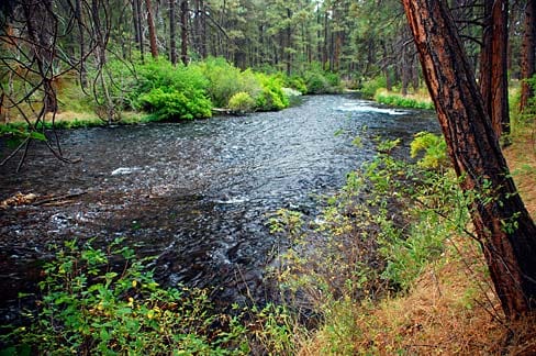 The Metolius River in central Oregon, clear water, a forested bank, and the kind of quiet that overlanders plan a trip around.