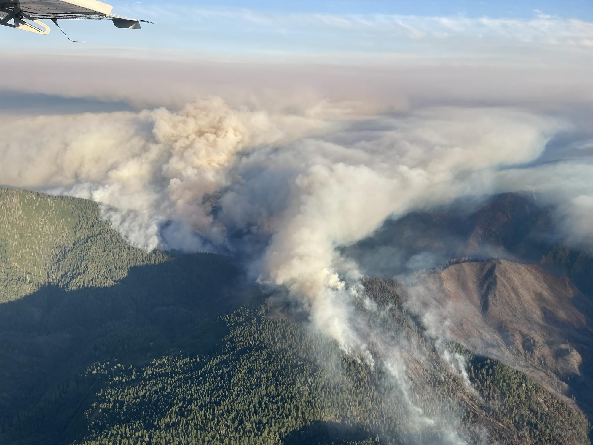 Aerial view of a smoke column rising from an Oregon fire over forested ridges.