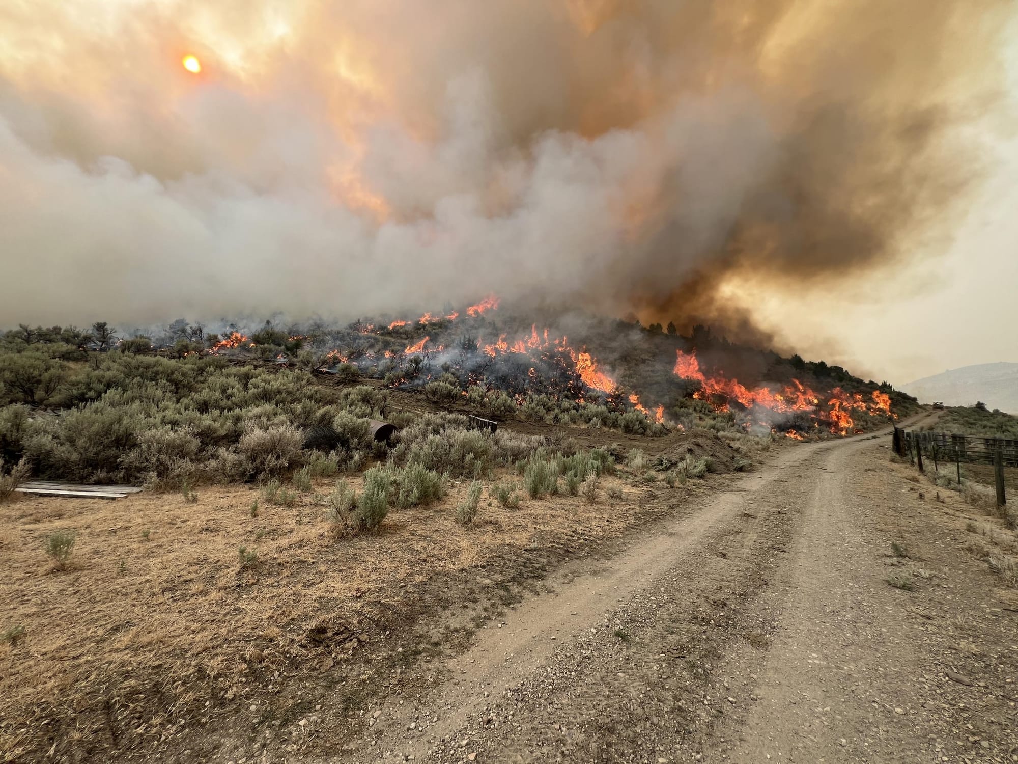 A column of smoke rising from the Telephone Fire in the Malheur National Forest in 2024, a real Oregon fire, the kind of order that arrived on the bathroom door.