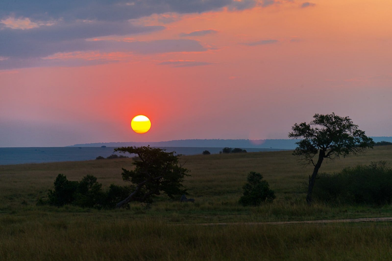 Landscape of Masai Mara, Kenya at sunset, anchoring the First-of: Kim as first Kenyan woman to drive Cape-to-Cape.