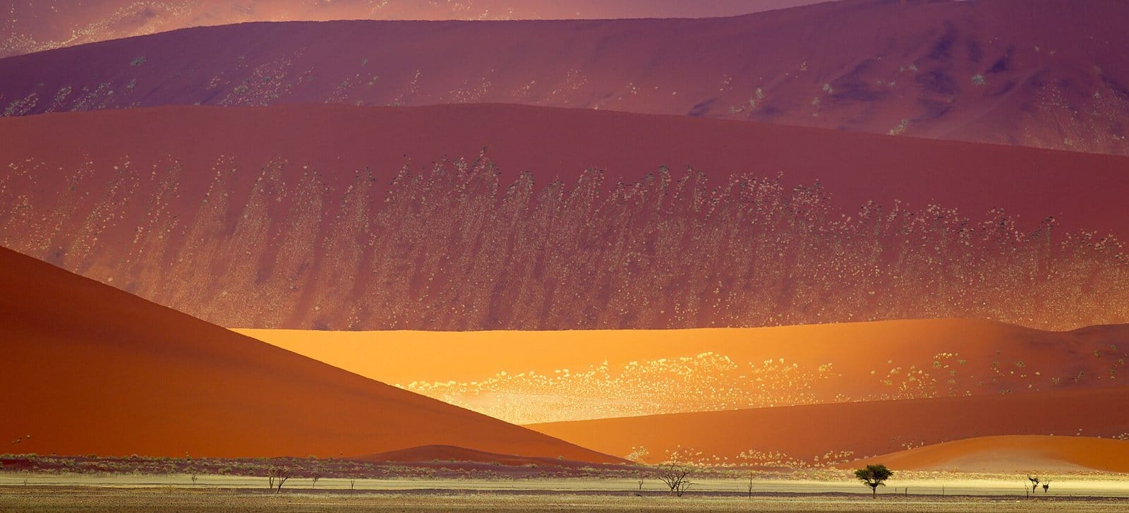 Sand dunes in the Namib-Naukluft National Park, one of the three deserts Kim crossed.
