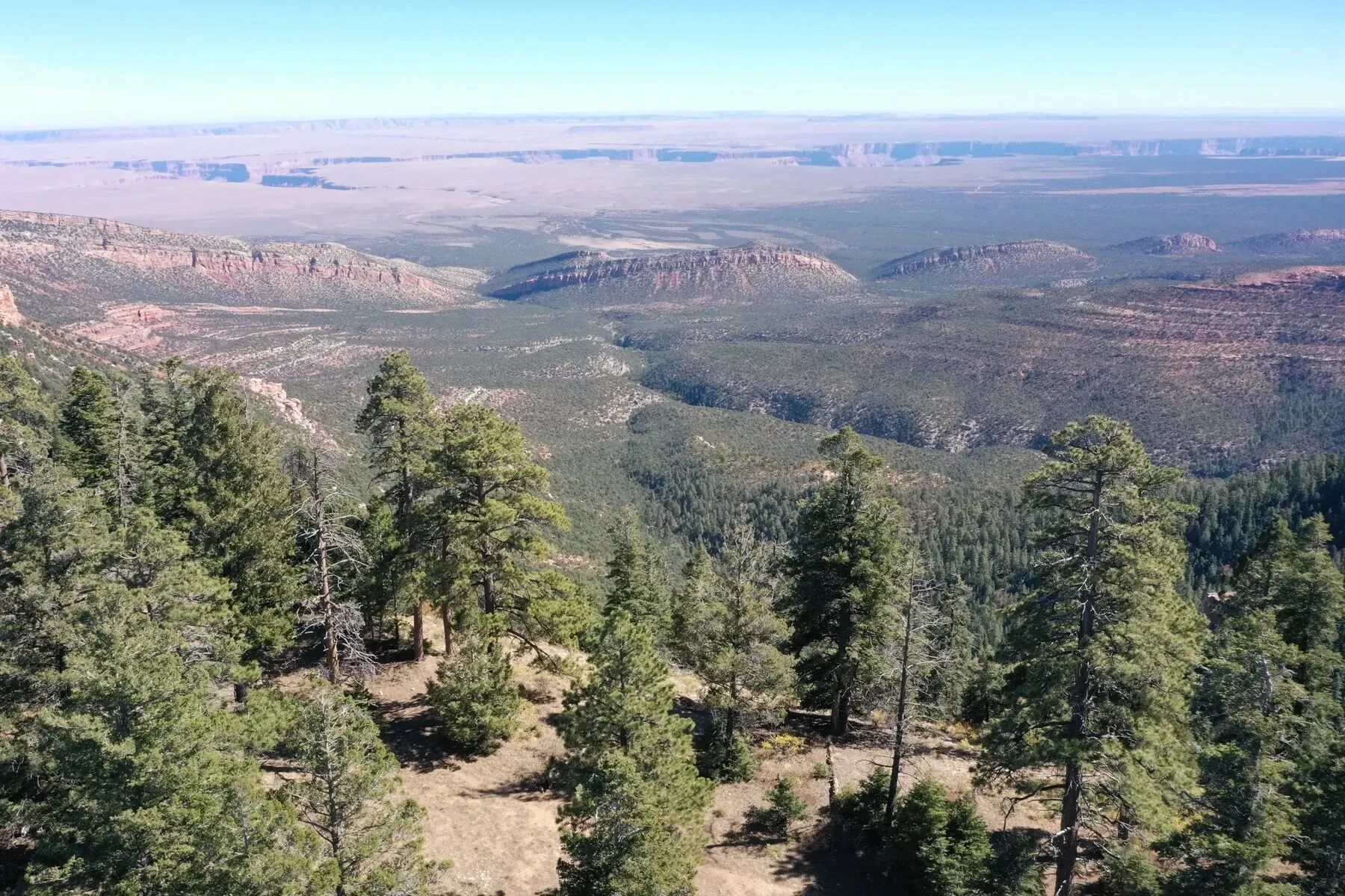 Drone shot of the canyon edge