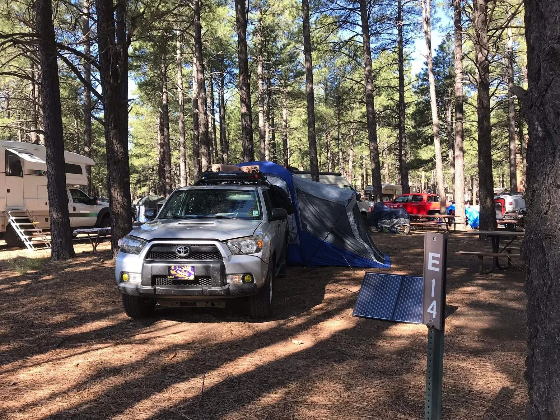 Camp setup, early morning