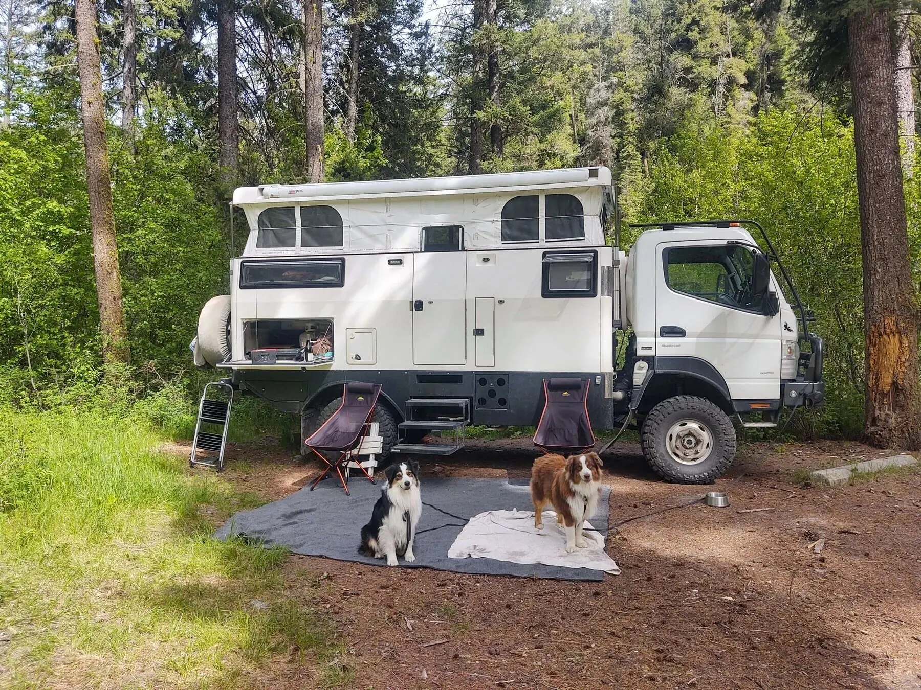HDR camp scene with the dogs