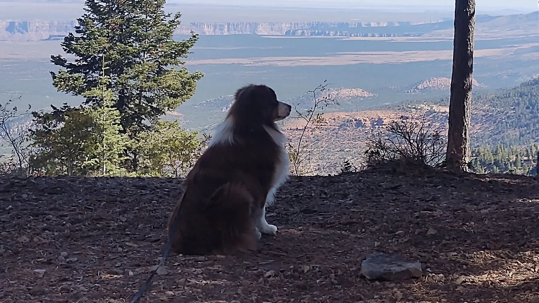 Trail walk, fall 2020 trip