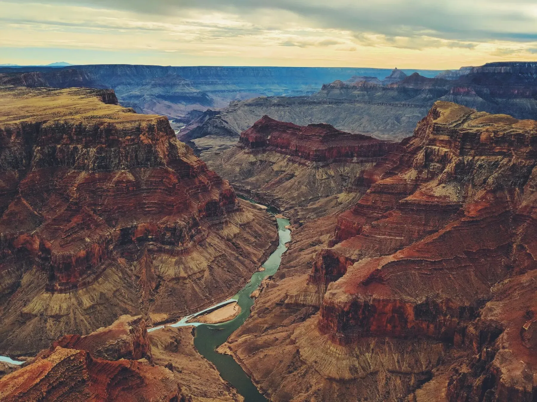 Stock photo, North Rim forest