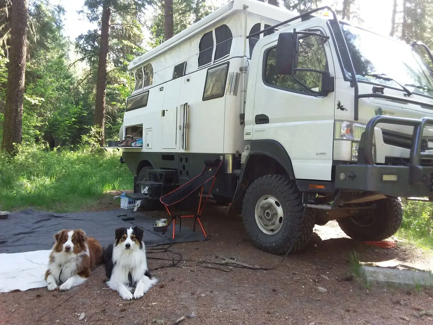 Two dogs beside a white expedition camper truck at a campsite