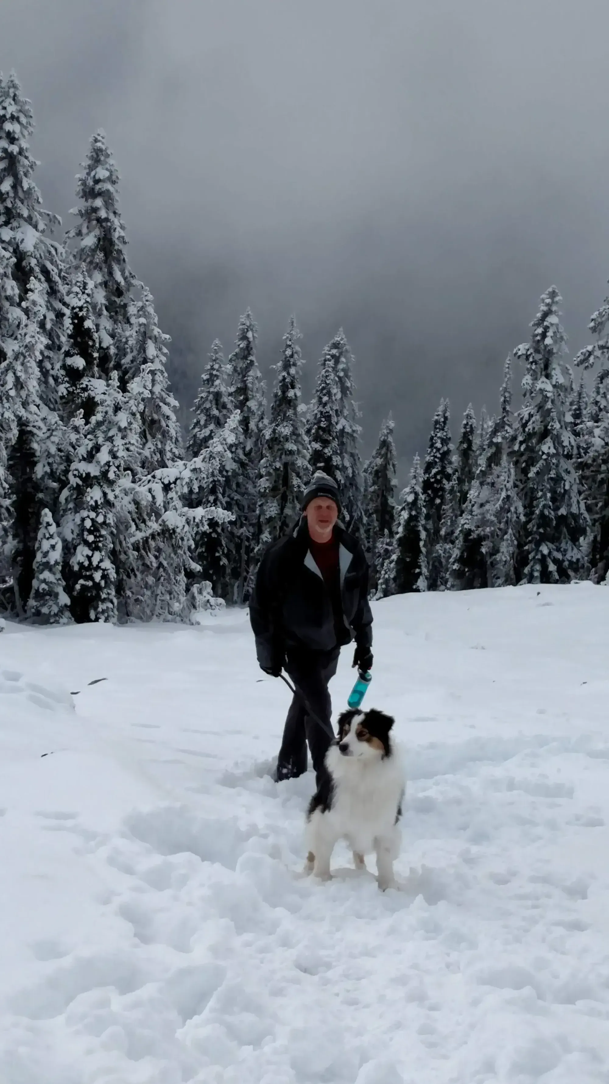 Winter hike with the dogs