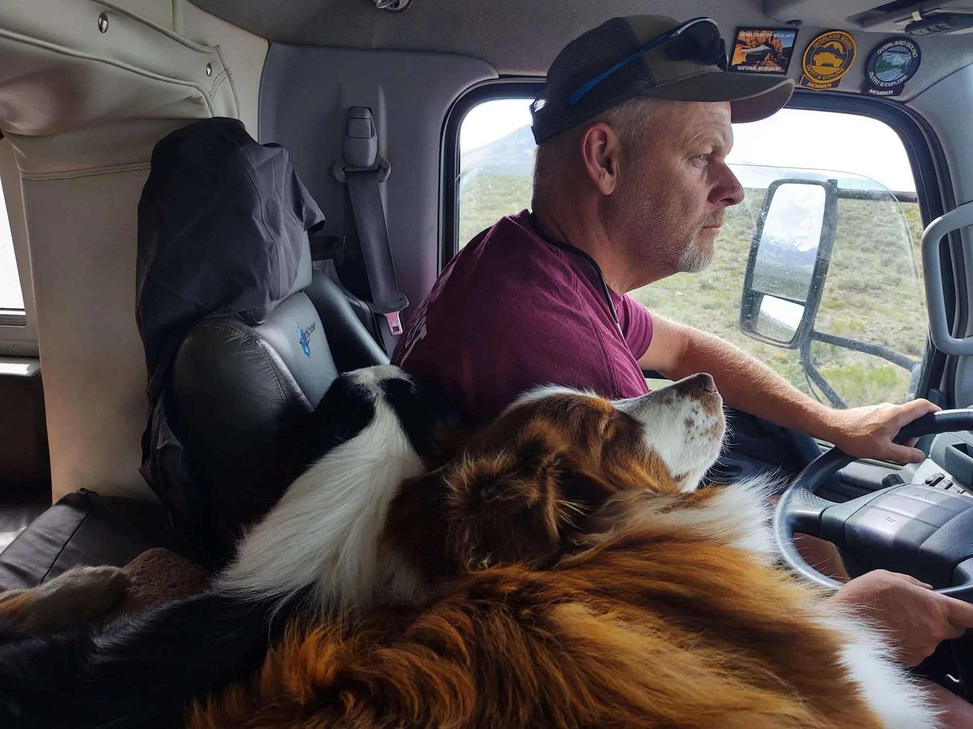Australian shepherd on a mountain hike