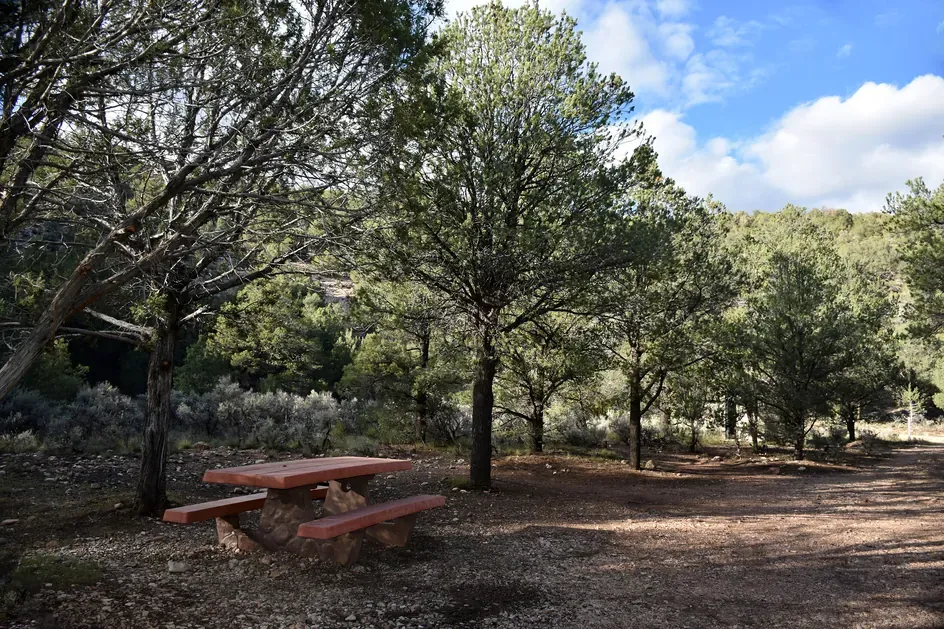 An established dispersed campsite with a picnic table and fire ring at Indian Hollow, North Kaibab Ranger District