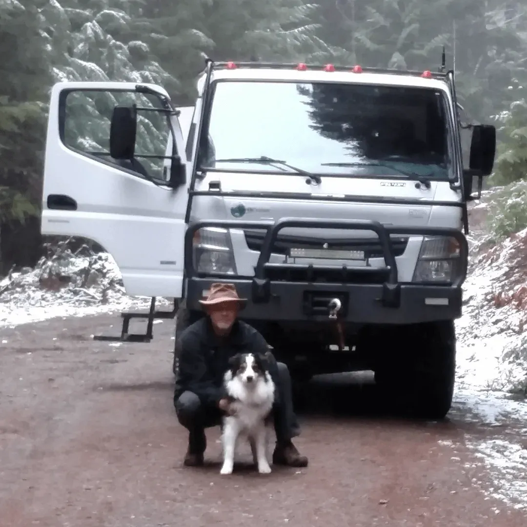 Cropped photo, australian shepherd