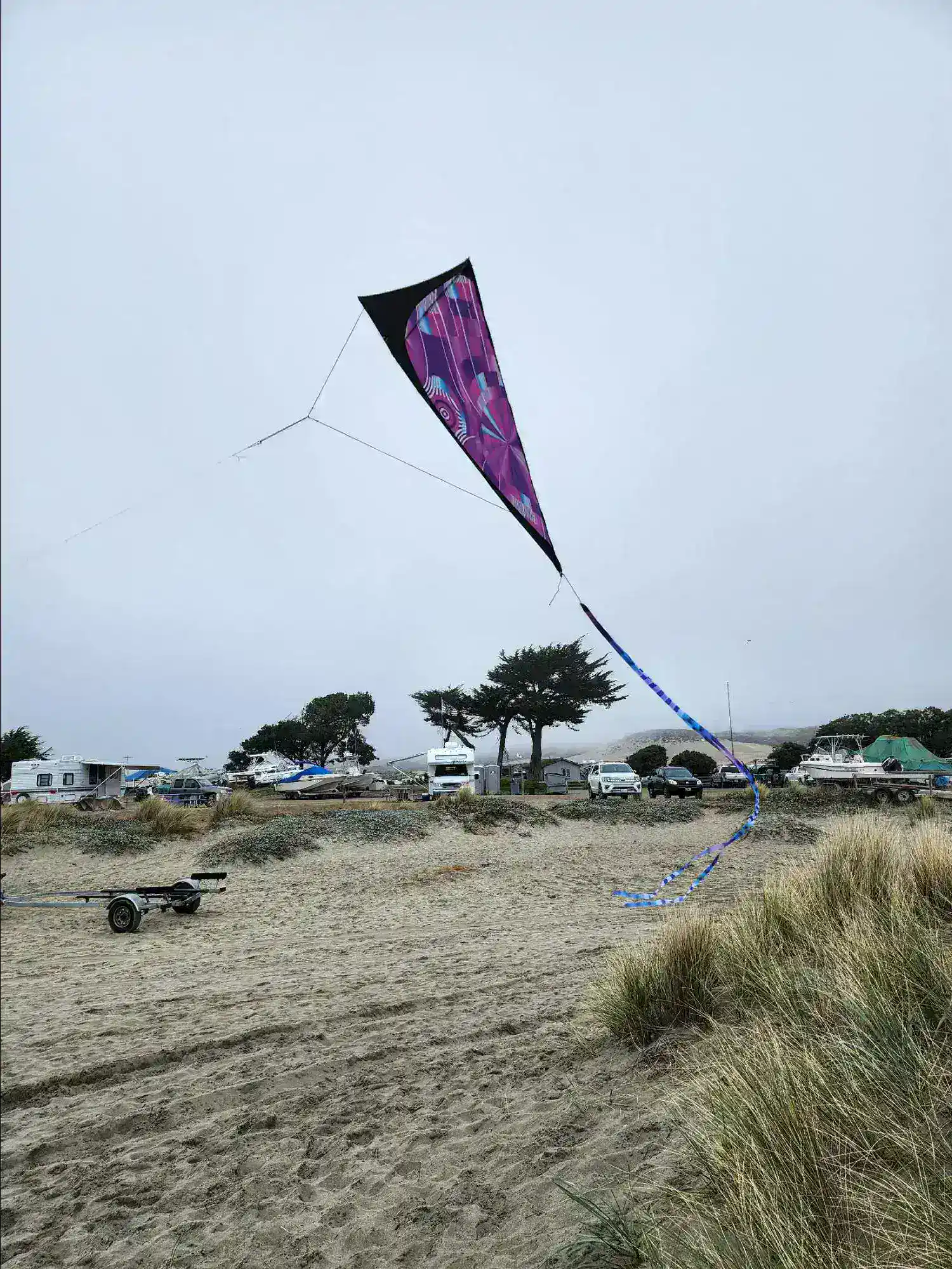 Colorful kite flying above a sandy beach