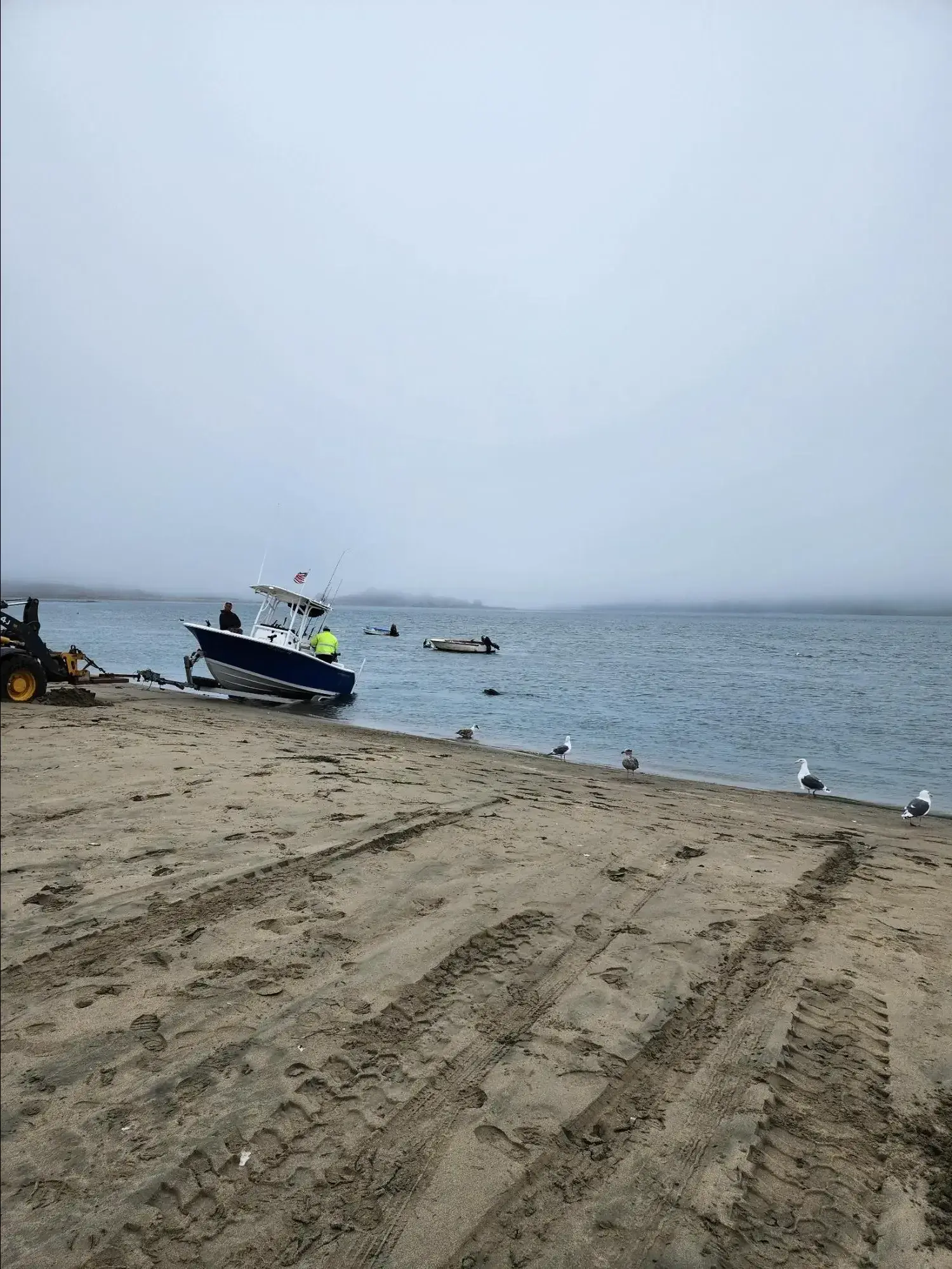 Boat being launched from a foggy beach by tractor