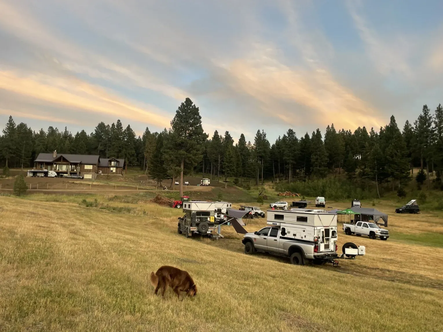 Truck campers and pickups parked in a grassy field at dusk, with pine trees and a cabin behind them and a dog in the foreground