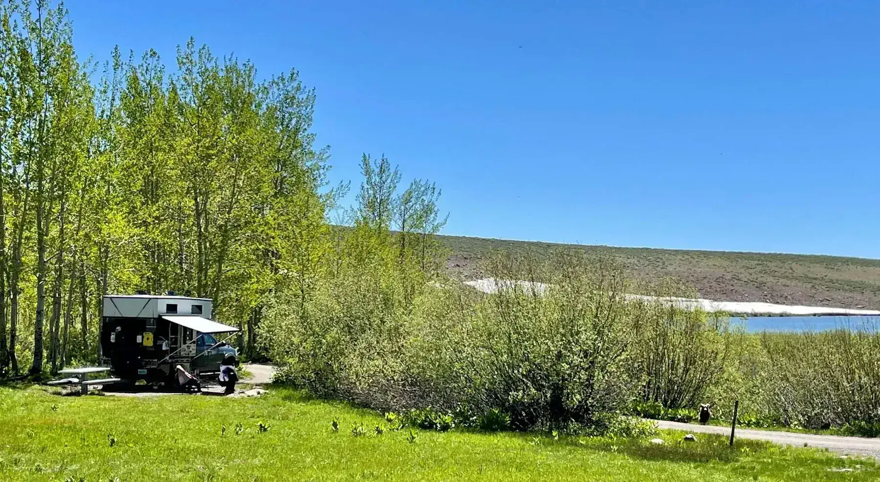 Camper beside a picnic table at a wooded lakeside campsite