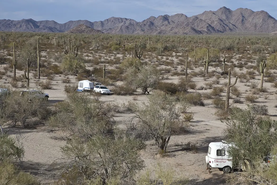 A small travel trailer with a pickup and a small fiberglass trailer camped among saguaro cactus in Sonoran Desert National Monument.